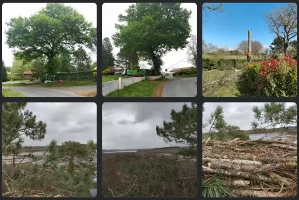 Facebook Mancicidor Stéphane