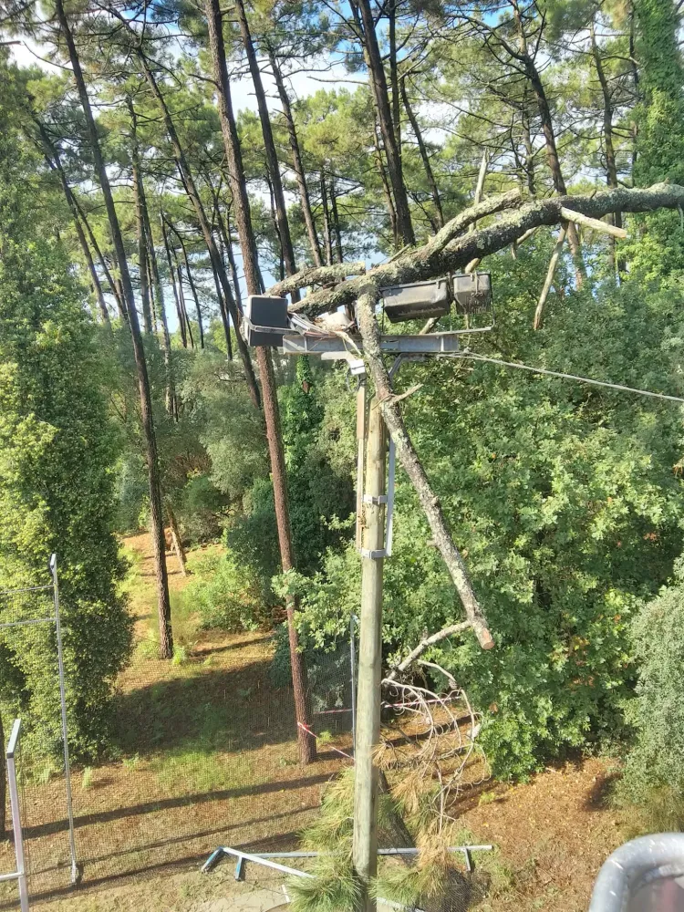 Élagage difficile à Saint-Vincent-de-Tyrosse