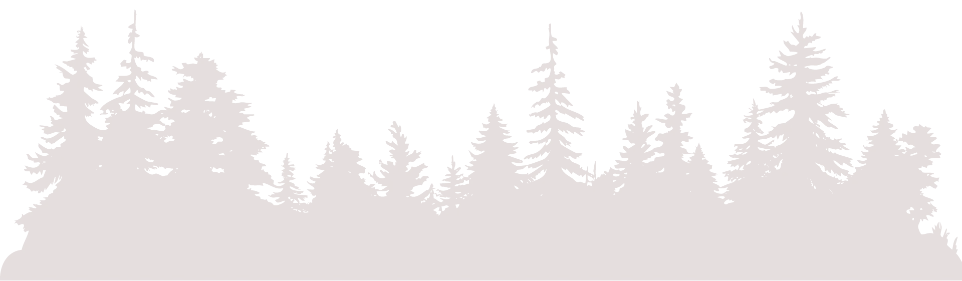 Mancicidor Stéphanewebp